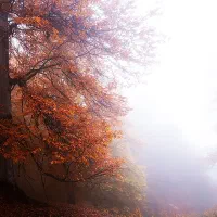 تور ریلی شمال|تور و چارتر|مرودشت, بیست متری بیمارستان|دیوار