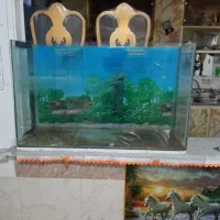 آکواریوم بزرگ