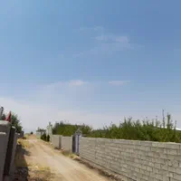 باغ شهر منطقه کودیان مجتمع مبین۲|فروش زمین و ملک کلنگی|شیراز, شهرک قمشه|دیوار