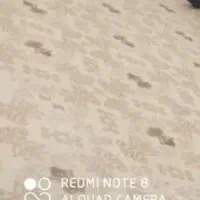 دو تیکه موکت ب ابعاد ۳×۴ هر کدوم ۱۲ متر