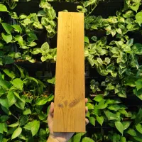 چوب ترمو روس|عمدهفروشی|اصفهان, تخت فولاد|دیوار