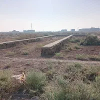 زمین250متری-ملاشیه-تاکسی-یوسف