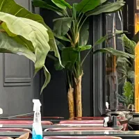 نیازمند پیتزا زن