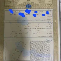 فروش ومعاوضه زمین  ۱۲۰۰ متر سند تک برگ ملاردتهران|فروش زمین و ملک کلنگی|تهران, گلستان (شهرک راه آهن)|دیوار