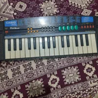 ارگ کاسیوsa21