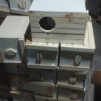 لانه تخم گذاری عروس هلندی