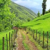 کارگر میخوای تماس بگیر