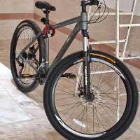 دوچرخه کاپریولو مدل ویوا سایز ۲۹