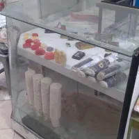 سه عدد ویترین دونه ای 700فوری|فعالیت داوطلبانه|مشهد, پنجتن|دیوار