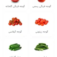 تامین میوه و صیفی رستوران و فست فود|خوردنی و آشامیدنی|تهران, میدان میوه و تره‌بار مرکزی|دیوار