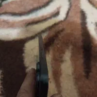 شیامی نوت 13 256|موبایل|تبریز, |دیوار