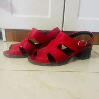 کفش تبریز