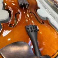ویولن ویلن|ویولن|تهران, شیخ هادی|دیوار