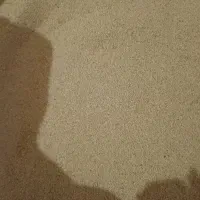 کود میلورم|خدمات باغبانی و درختکاری|شیروان (خراسان), |دیوار