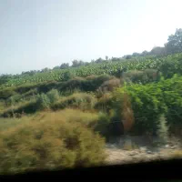 زمین-جلواتوبان-مخرم