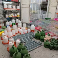 قفس کبوتری|لوازم جانبی حیوانات|برازجان, |دیوار