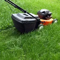 هرس درختان میوه مسمر، چمن کاری، گل کاری، سم پاشی