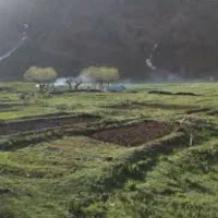 باغ در طبس
