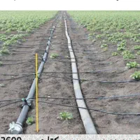 نوارکشی|عمدهفروشی|فسارود, |دیوار