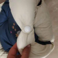 قنداق سویسی کاملا نو|اسباب و اثاث بچه|آبیک, |دیوار