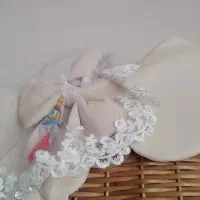 سبدحمل و آغوشی نوزاد