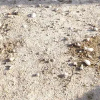 زمین مسکونی