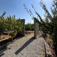 باغ سرسبز و بِکر/۳۱۹ متر،محصور شده|فروش زمین و ملک کلنگی|اسلام‌شهر, شهرک محمدیه|دیوار