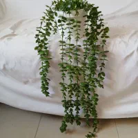 گل ناز یخی مصنوعی