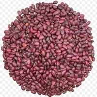 شریک لوبیا کار می‌خوام