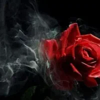 کارت بانکی گم. کردم