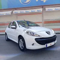 207یک گلگیر رنگ