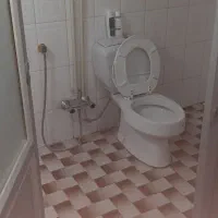 توالت فرنگی