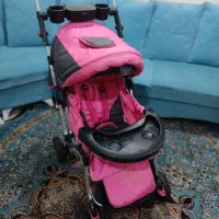 کالسکه های دلیجان  و عصایی