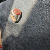 انگشتر عقیق یمنی اصل