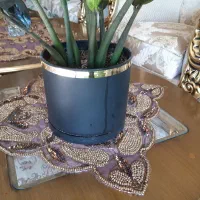 گل و گیاه|گل و گیاه طبیعی|اصفهان, طامه|دیوار