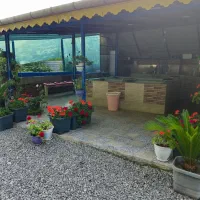 کار در پرورش ماهی سردابی|استخدام سرایداری و نظافت|لنگرود, |دیوار