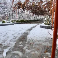 نیازمند کار درمنزل