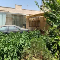 ۲۵۰ متر ویلایی/شمالی/بازسازی شده / فاز۲ اندیشه|اجارهٔ خانه و ویلا|اندیشه, اندیشه فاز ۲|دیوار