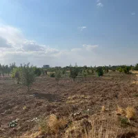 باغشهر ساوالان|فروش زمین و ملک کلنگی|زنجان, |دیوار