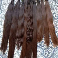 بهترین صادر کننده مو بدون واسطه و دلال