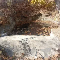 زمین کشاورزی|فروش زمین و ملک کلنگی|کامیاران, |دیوار