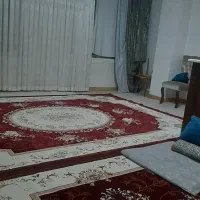 فرش ۷۰۰ شانه دوعدد ۱۲متری،یک عدد ۶متری|فرش|صباشهر, |دیوار