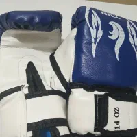 دسکش بوکس