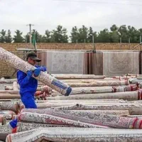 قالیشویی کرمانی ها رسالت قالی شویی