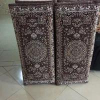 ۳جفت پشتی
