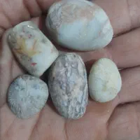 سنگ ایسیدین طبیعی خمهره اصل سنگ فسیلی سنگ خون|جواهرات|رشت, احمد گوراب|دیوار