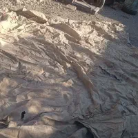 چادر برزنتی