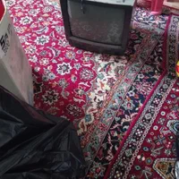 تلویزیون سالم پونصد هزار