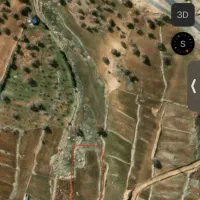 زمین کشاورزی