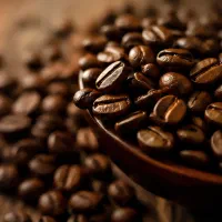 فروش عمده قهوه
